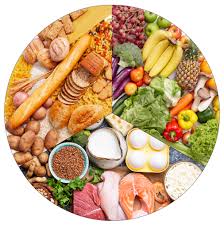 Nutrition